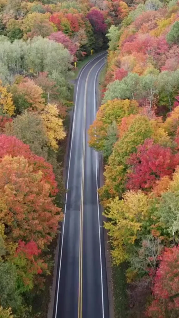 একাকিত্ব