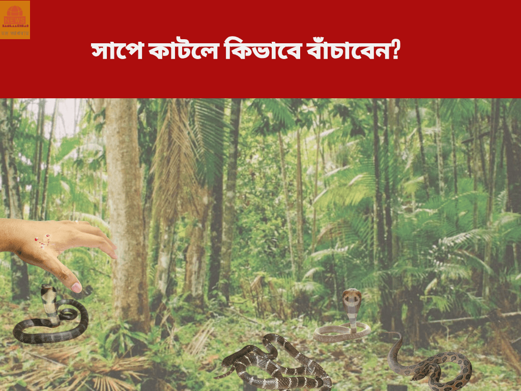সাপে কাটলে কি করণীয়?